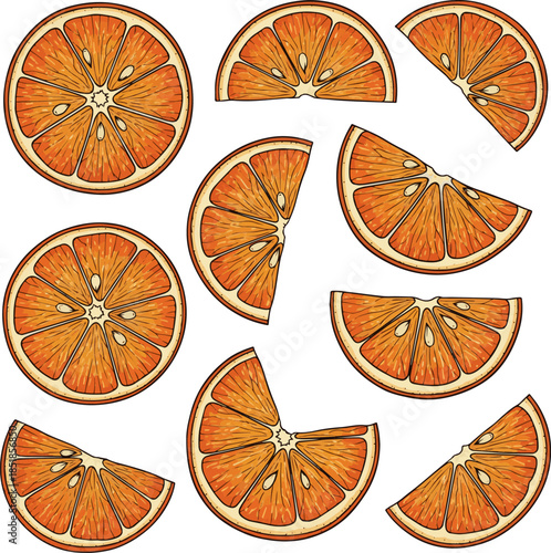 Isolated a kinds of deferent hand drawn ink style detailed orange slice vector art with white background.