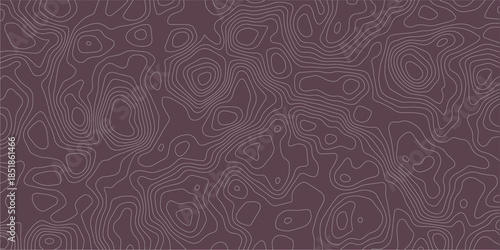 Topographic map lines background, geographic abstract grid vector illustration 