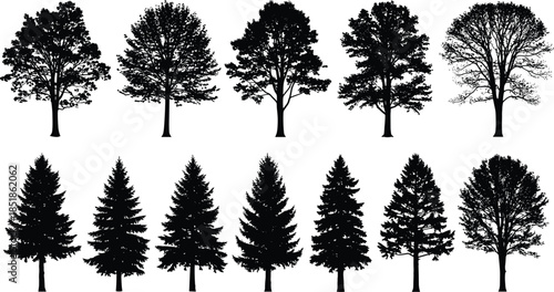 Set of Tree Silhouettes Including Deciduous Oak Maple and Coniferous Pine Spruce Fir Cedar Forest Collection for Nature Landscapes Vector Illustration (Exactly 20 words)