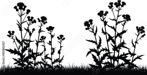 Two black silhouettes of successful photographers celebrating a victory by raising their hands while holding a camera on white background