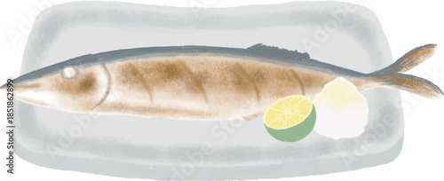 サンマの塩焼きの水彩風イラスト