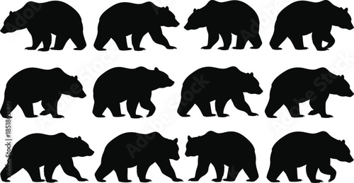 Bear silhouette collection walking poses flat vector illustration set isolated on white background for wildlife design