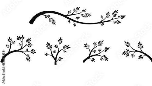 Decorative branches with leaves are shown in a graphic design.