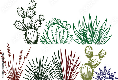Black and white desert plants illustration with cactus and agave, minimalist botanical line art background for wall decor design