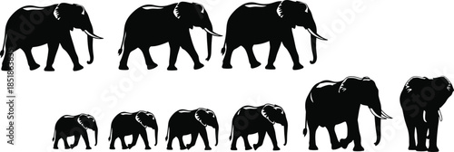 Elephant silhouette collection with walking and standing poses flat vector illustration set isolated on white background for wildlife design