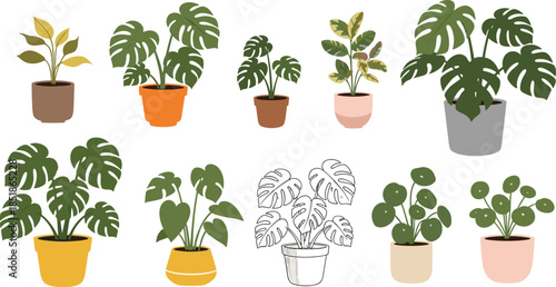 Set of Indoor Tropical Houseplants in Colorful Pots, Flat Vector Illustration Collection for Home Decor, Botanical Design, and Modern Interior Styling
