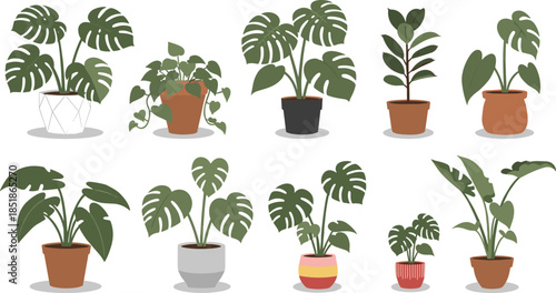 Collection of Indoor Tropical Houseplants in Modern Pots, Flat Vector Illustration Set for Home Decor, Botanical Design, and Interior Styling