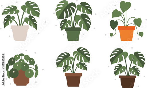 Modern potted houseplant illustration set featuring monstera and heartleaf philodendron plants in decorative pots, perfect for indoor greenery, botanical themes, and home decor vector designs.