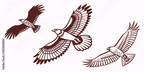 Set of three majestic soaring eagles or hawks illustrated in a stylized brown and white graphic design