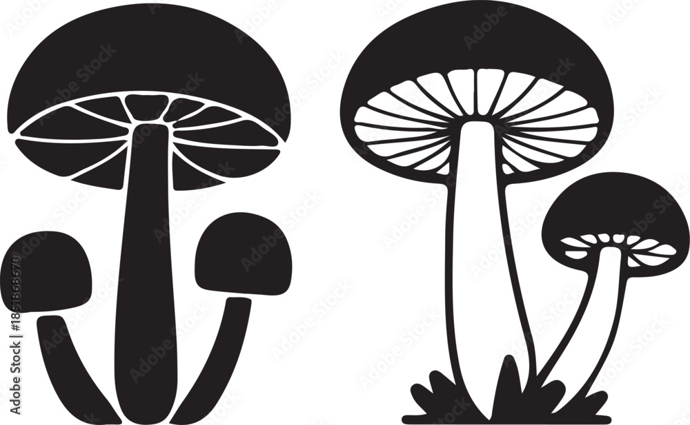 Obraz premium Mushroom illustration silhouette isolated on white. Magic mushroom nature vector silhouette black line contour drawing with funguses. Cartoon mushroom illustrations, black and white fungi drawing. 