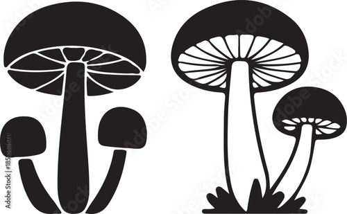Mushroom illustration silhouette isolated on white. Magic mushroom nature vector silhouette black line contour drawing with funguses.  Cartoon mushroom illustrations, black and white fungi drawing. 