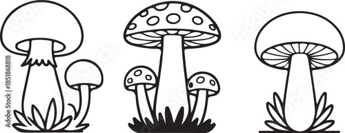 Mushroom illustration silhouette isolated on white. Magic mushroom nature vector silhouette black line contour drawing with funguses.  