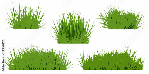 A collection of vibrant green grass tufts isolated on a white background