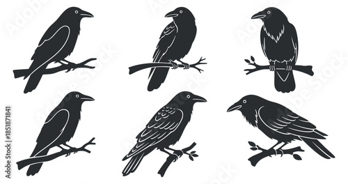 A set of six crow illustrations perched on branches in black silhouette vector style, suitable for nature-themed designs