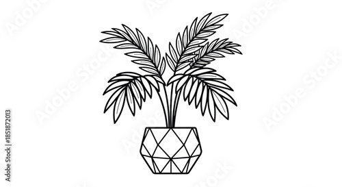 Simple black and white line art illustration of a lush potted palm plant in a modern geometric pot ideal for interior decor and botanical themes.