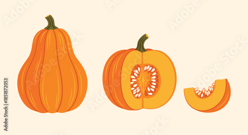 Illustration of whole and sliced pumpkins in various forms including a butternut squash type a round pumpkin and a wedge for autumn and harvest.