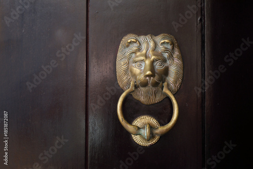 lion door knocker in front door