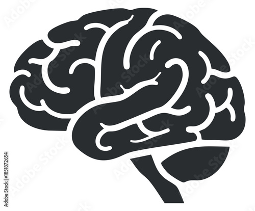 A stylized brain illustration in black and white vector style, suitable for educational and psychological themes