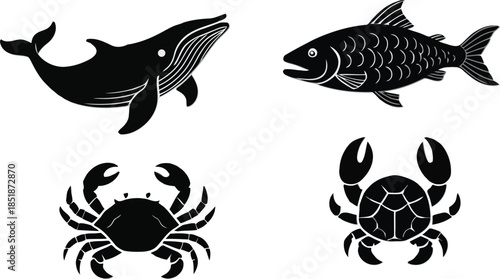 Set of fish vector illustrations in marine and aquatic style