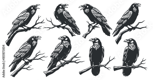 A set of eight stylized crows and ravens perched on branches in black and white vector style, ideal for nature-themed designs