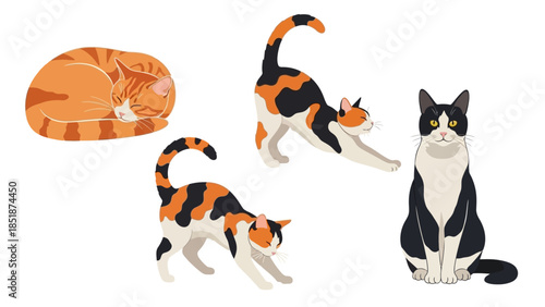 Diverse Feline Companions A Collection of Adorable Cats in Various Poses
