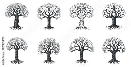 A collection of eight tree illustrations with intricate branches and roots in black and white vector style, perfect for nature-themed designs and eco-friendly projects