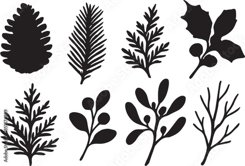 Christmas pine cone, fir tree, branch needle, leaf. Winter sprig, holly berry, Xmas spruce, mistletoe, evergreen cedar, black twig nature silhouette vector illustrations