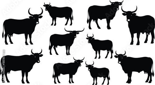 Nine black silhouettes of bulls and cows in various poses