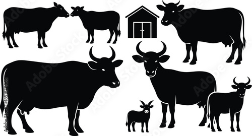 Silhouette of cows and bulls in a farm setting with a barn