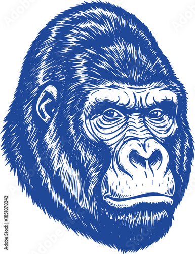 Blue Ink Sketch Portrait of a Serious Gorilla Head with Detailed Fur Texture primate animal