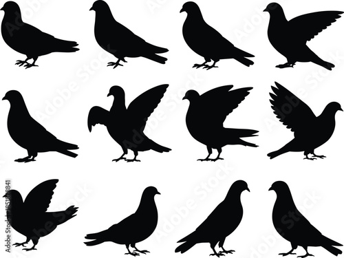 Pigeon silhouette icons, bird poses, flying and standing, black vector, urban wildlife, minimal design, flat style, side view, wing spread, motion study, nature, animal, grid layout, illustration,