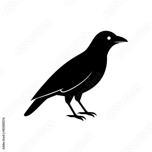 A crow icon bold outline vector illustration design