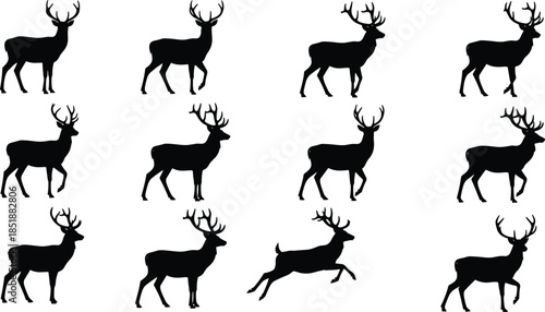 Seamless pattern of deer silhouettes isolated on white background, wildlife animal illustration for nature, hunting, forest design, concept, graphic, art