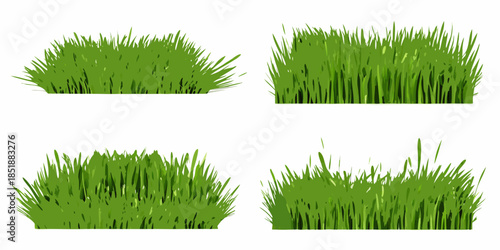 Four clumps of vibrant green grass isolated on a white background