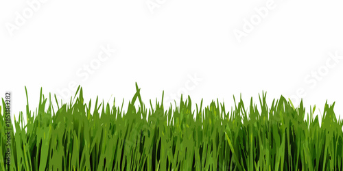 A simple view of green grass blades against a clean white background