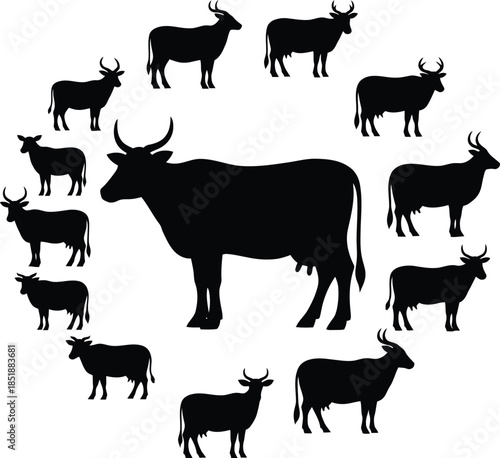 Herd of cows in a circle formation silhouette
