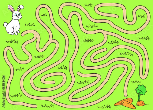 Rabbit goes to the carrot maze graphic color sketch illustration vector 