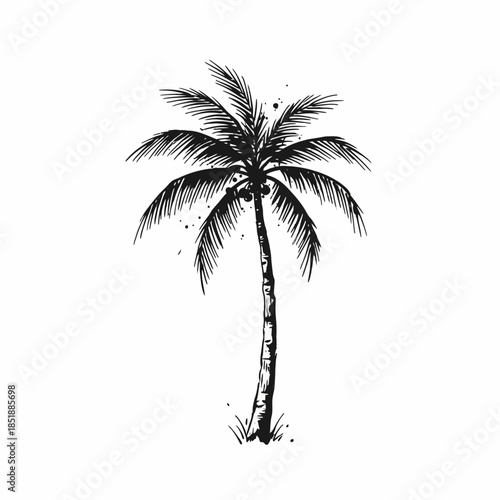 A black and white illustration of a single palm tree with coconuts, set against a white background, evoking tropical vibes