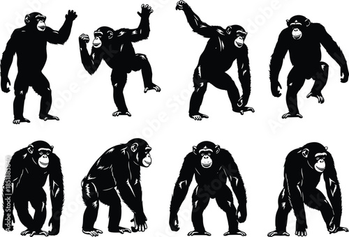 Vector Silhouette Set of Detailed Chimpanzees in Various Poses, Featuring Black and White Graphics of Primates Standing, Walking, and Waving, for Wildlife Design.