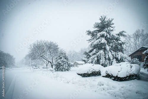 Neighborhood Snow