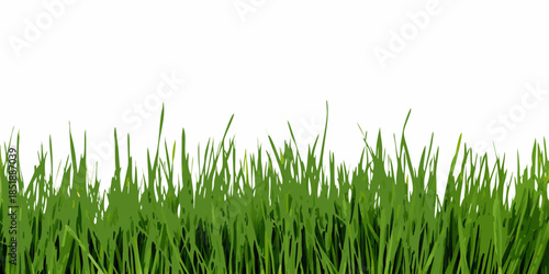 A simple illustration of vibrant green blades of grass against a white background