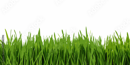 A vibrant stretch of fresh green grass against a plain white background