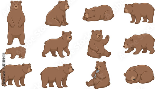 Cartoon brown bear poses, wildlife character illustration, animal behavior vector, cute forest mammal, walking, sleeping, sniffing, standing, nature-themed graphic