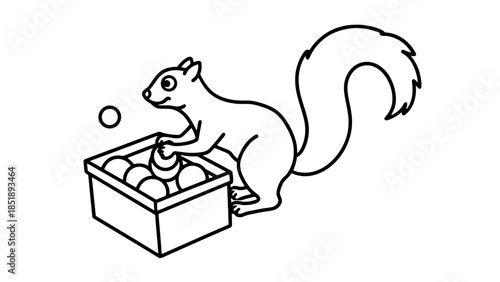 Cute squirrel collecting nuts in a box outdoors
