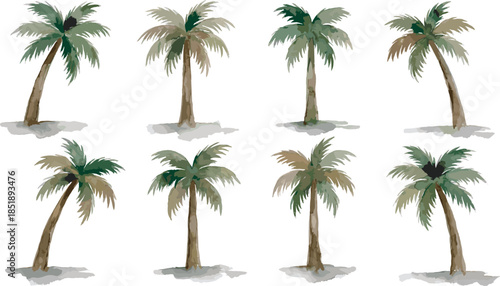 Cartoon palm tree set, tropical plant illustration, summer foliage vector, exotic tree design, green leaf collection, beach-themed decorative graphic