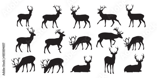 vector silhouettes of deer