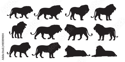 horses silhouettes vector