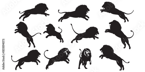 vector silhouettes of animals