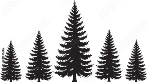 Pine tree silhouette, forest vector, black trees, nature graphic, symmetrical design, woodland art, evergreen illustration, winter scene, minimal style, outdoor concept