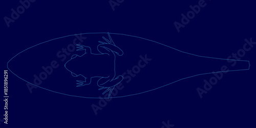 A white contour line drawing of a frog stands out vividly against a solid deep blue background.